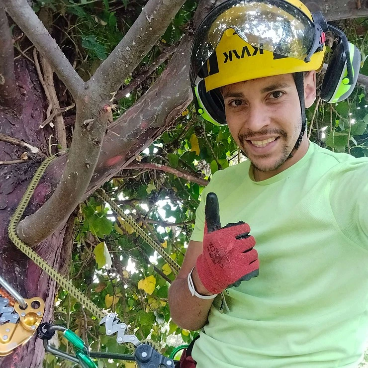 Personal Tree Cares