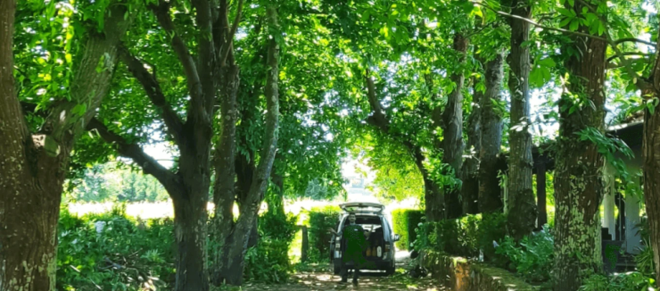 Subida de galibo