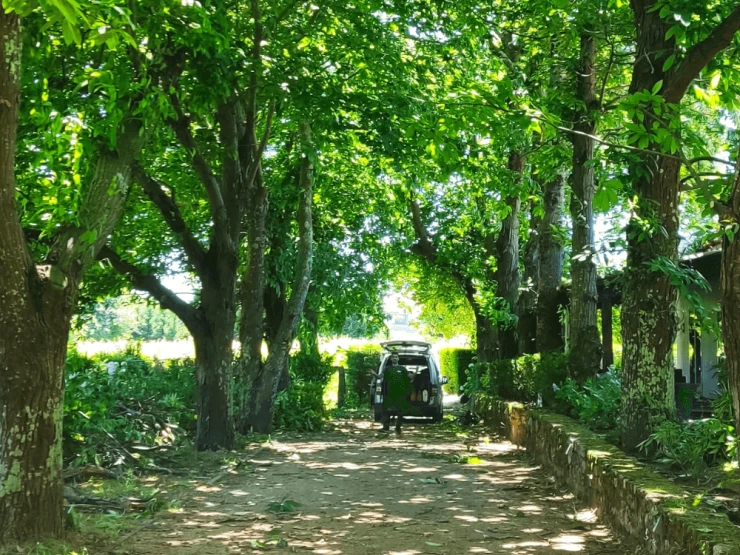Subida de galibo